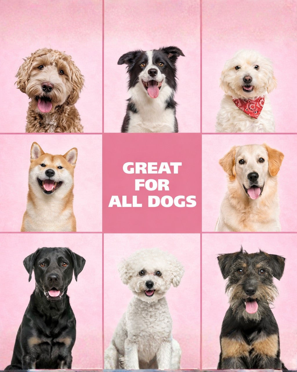Snapgroom Waterless Dry Shampoo for Dogs & Cats with microfiber towel
