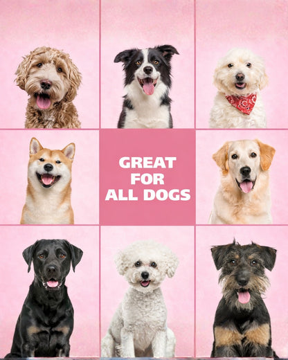 Snapgroom Waterless Dry Shampoo for Dogs & Cats with microfiber towel