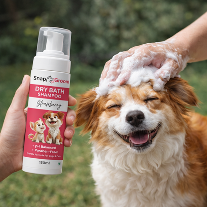 Waterless Dry Shampoo for Dogs & Cats with microfiber towel and Pet Brush