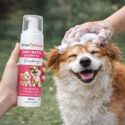 Dry paw cleaner shampoo with Dogs & Cats with microfiber towel and Pet Brush