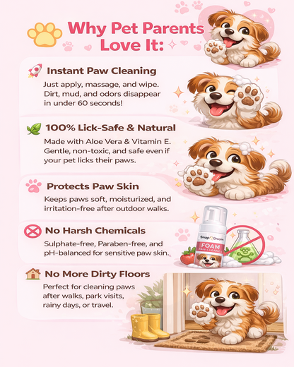 Dry paw cleaner shampoo with Dogs & Cats with microfiber towel and Pet Brush