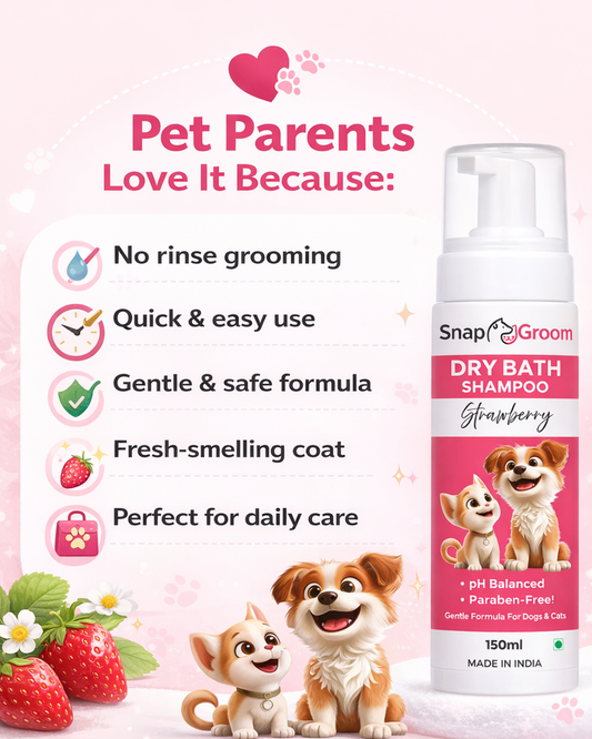 Waterless Dry Shampoo for Dogs & Cats with microfiber towel and Pet Brush
